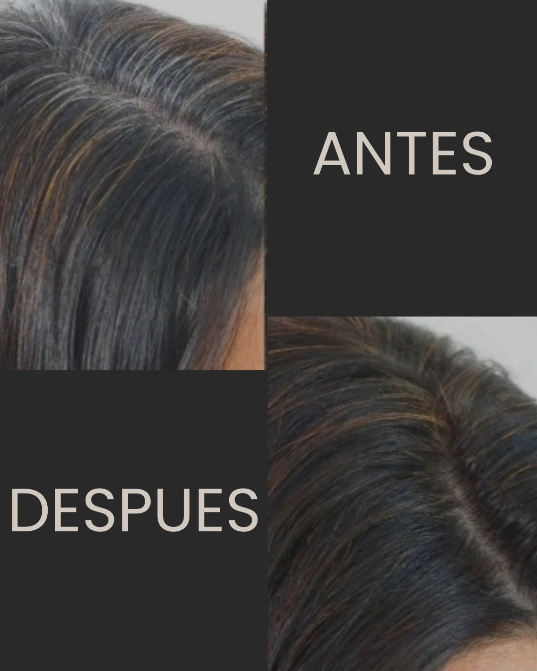 CHAO CANAS+ Tratamiento Color + 2 Obsequios