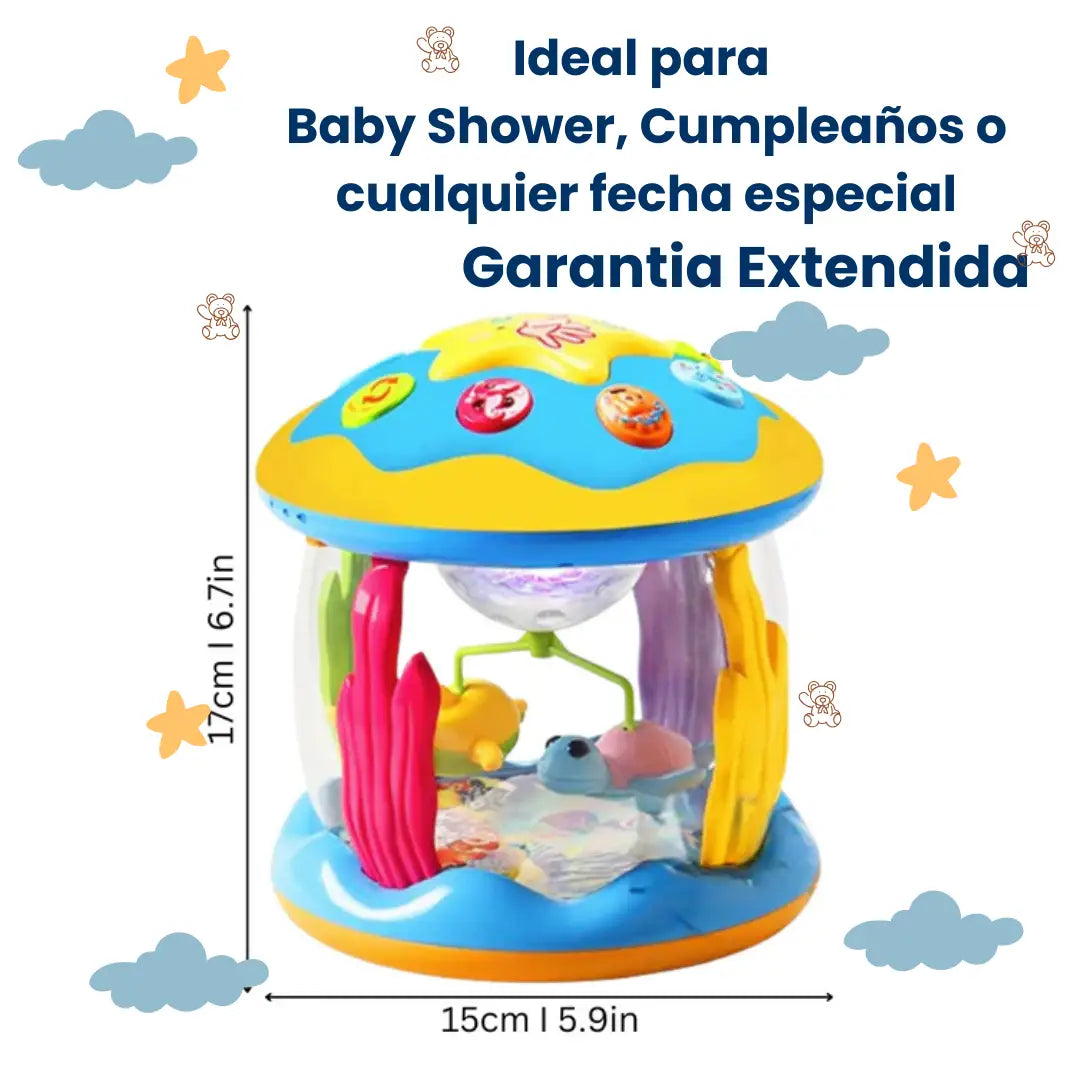 Carrusel de Estrellas® Descubre la magia
