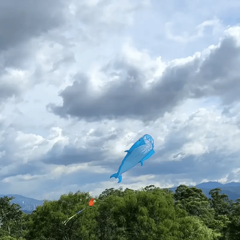 Encabezado