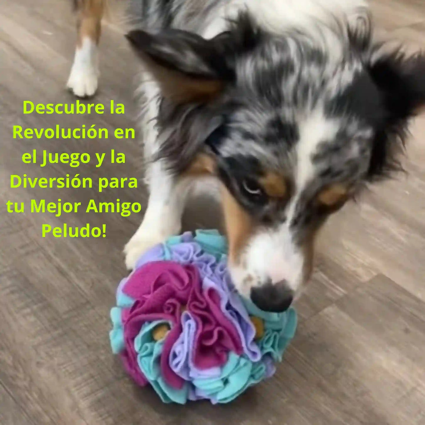 SmartPlay™ | Pelota Olfativa para tu Mascota