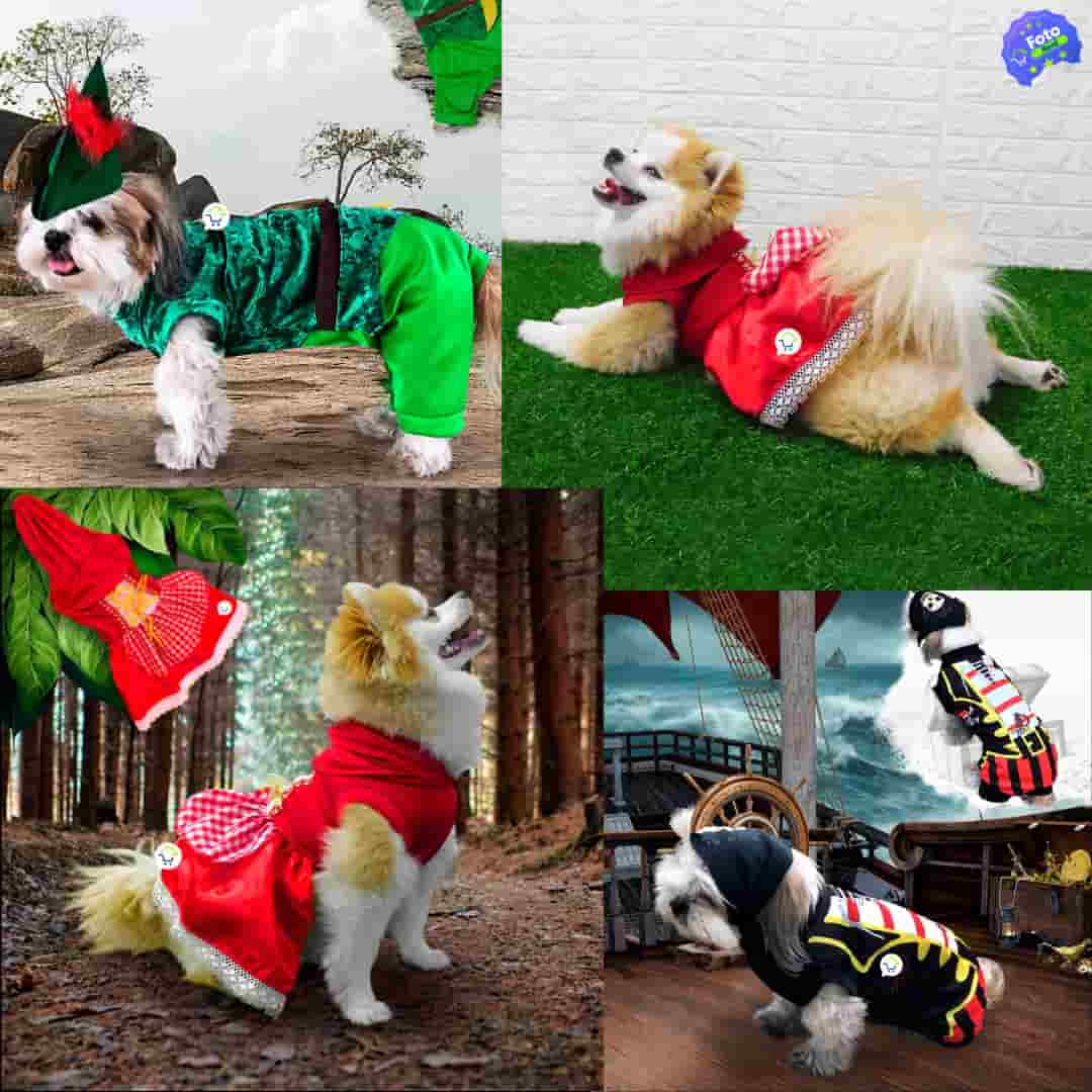 Disfraz Mascotas - La sensación del Halloween