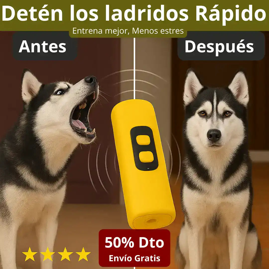 Encabezado