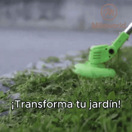 Encabezado