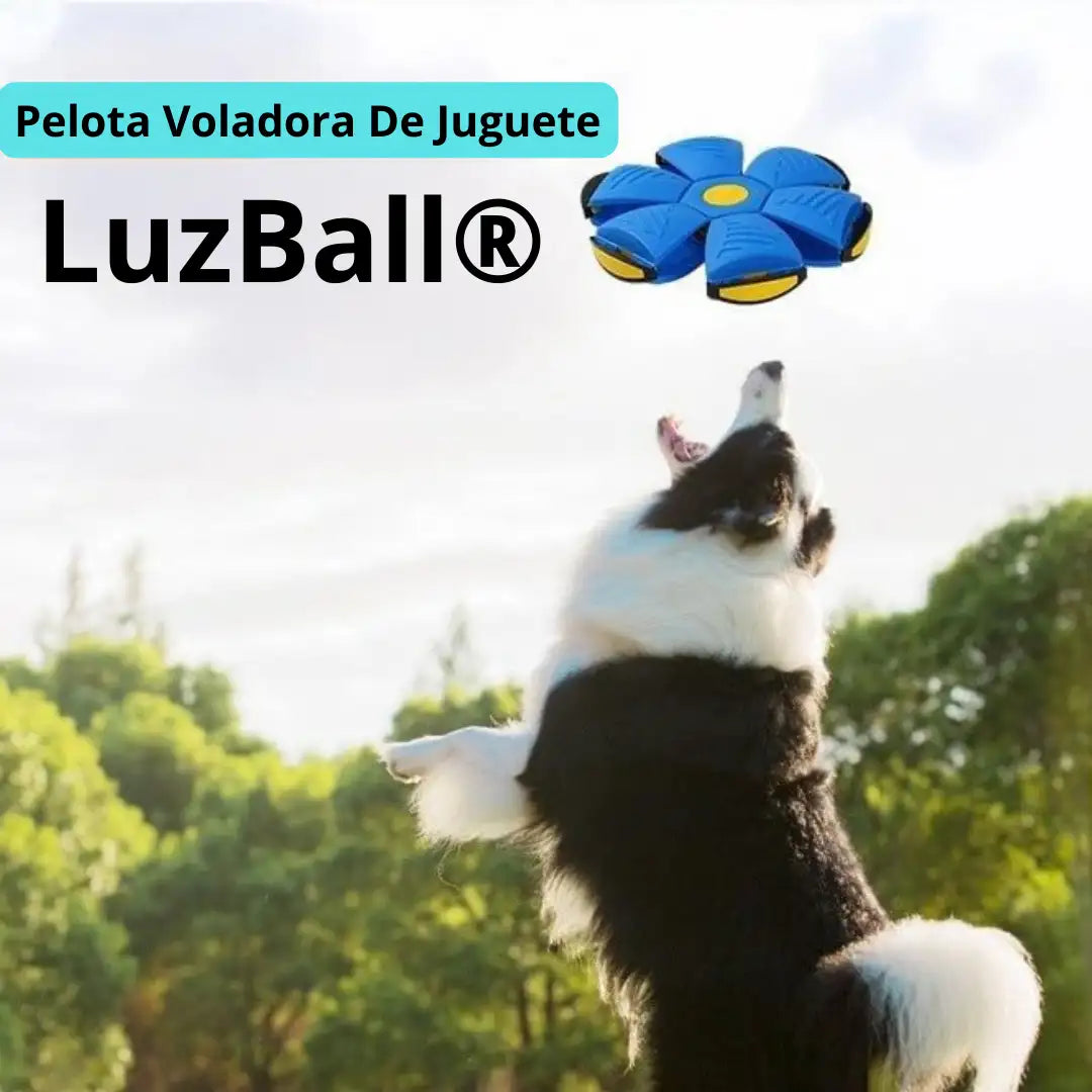 LuzBall® Pelota Voladora de Juguete