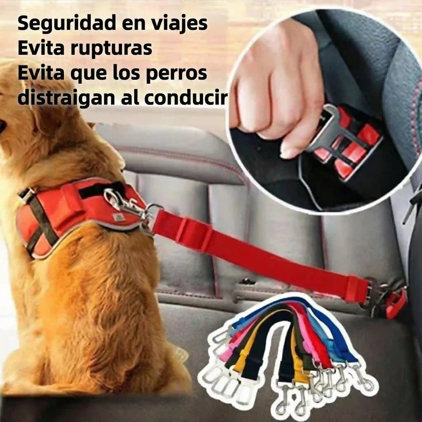 PetSecure™ Tu aliado para viajar con tu mascota.