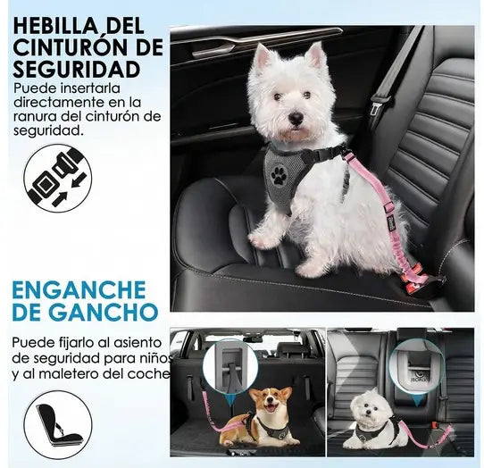 PetSecure™ Tu aliado para viajar con tu mascota.